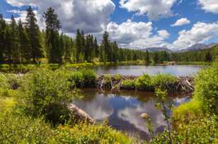 Beaver pond-5796.jpg